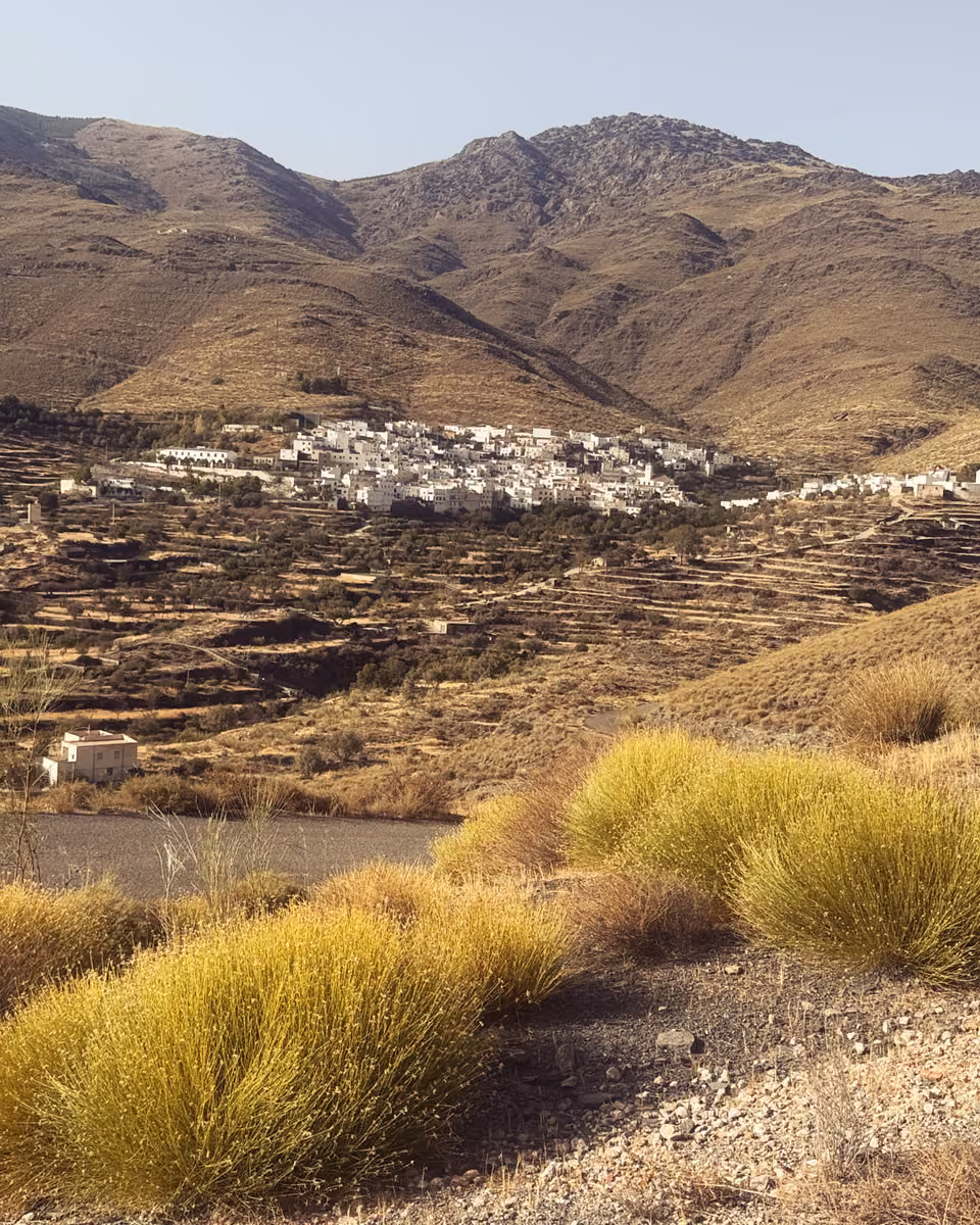 The white village of Velefique beneath dry mountains, with yellow scrub and a gravel track in the foreground.